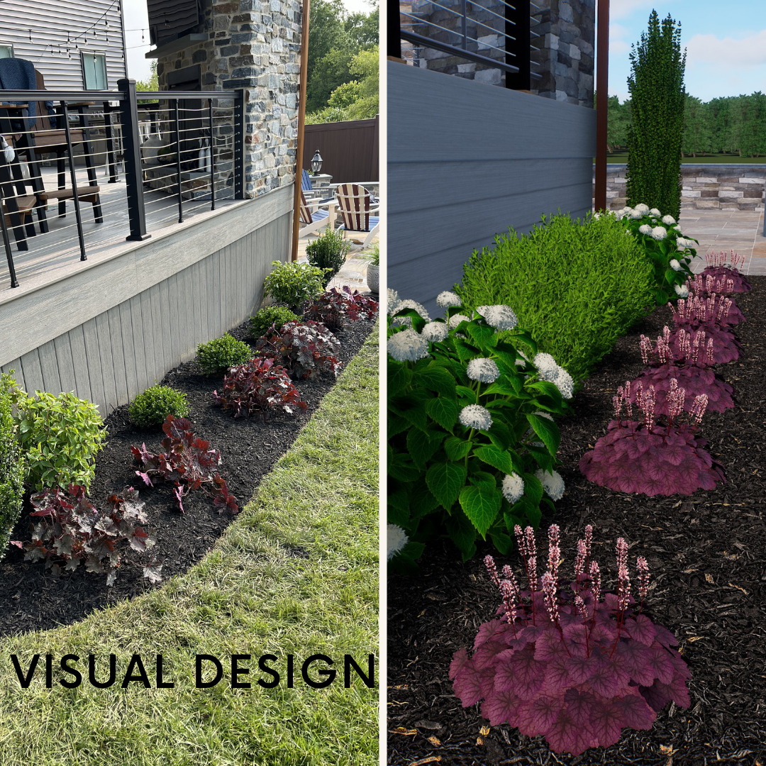 3D design of side bed with hydrangea and coral bells