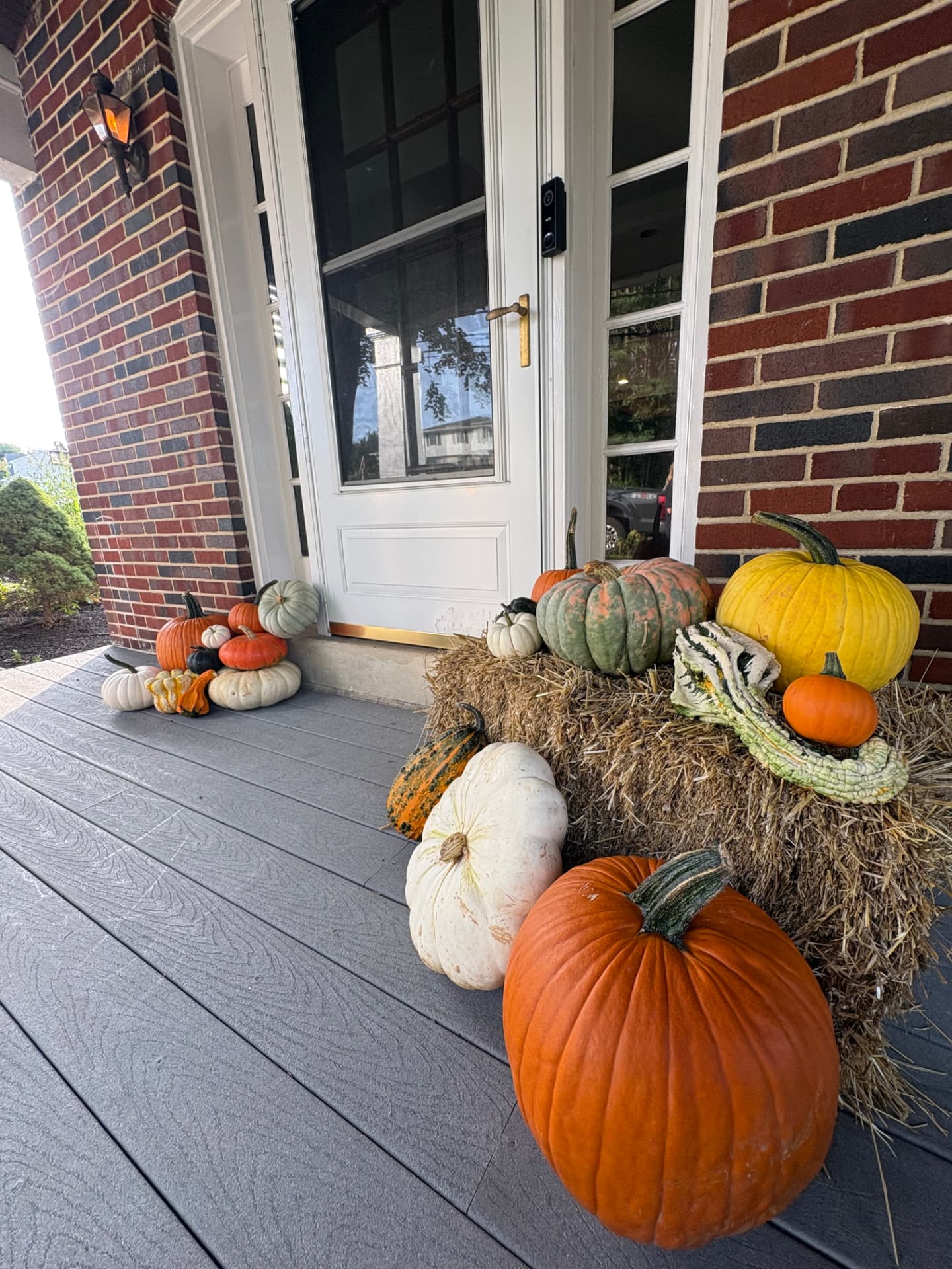 Classic pumpkin display with specialty gourds beside a white front door