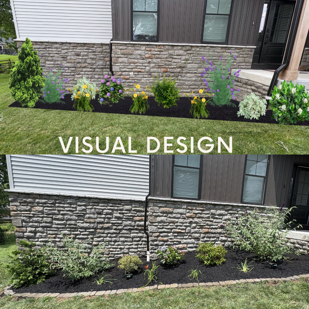 3D front foundation bed design vs installed planting