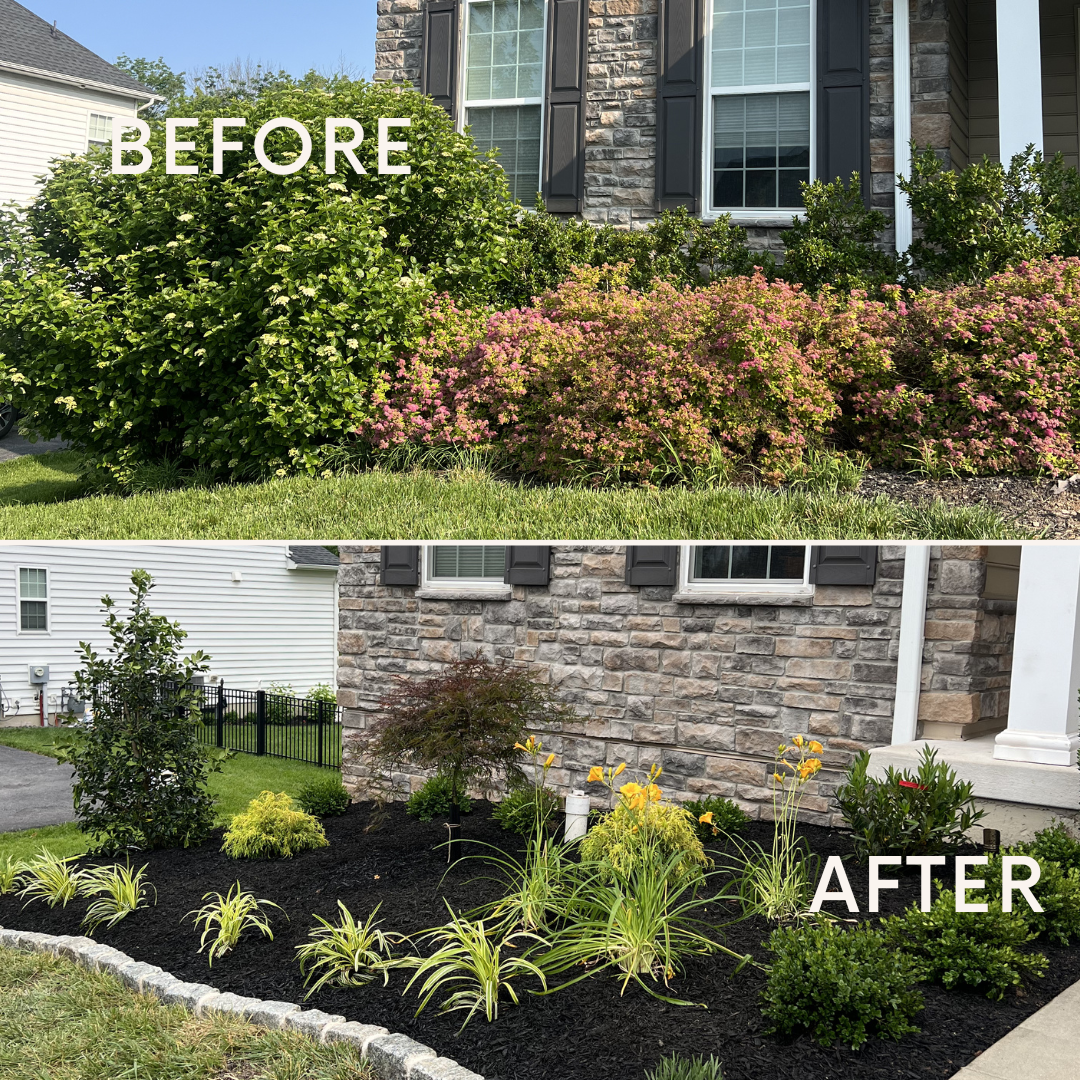 Front bed makeover, before and after