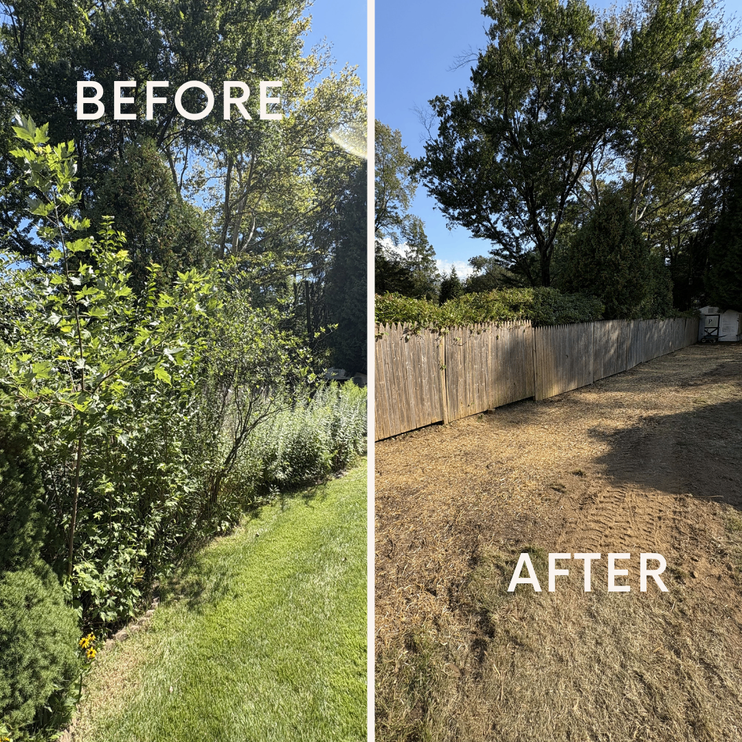 Before and after skid steer land clearing along a fence line