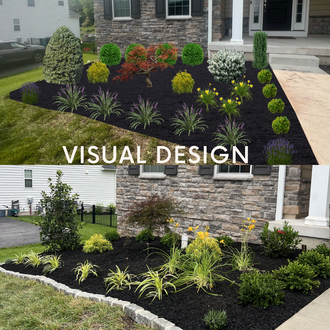 3D landscape design rendering next to installed front bed